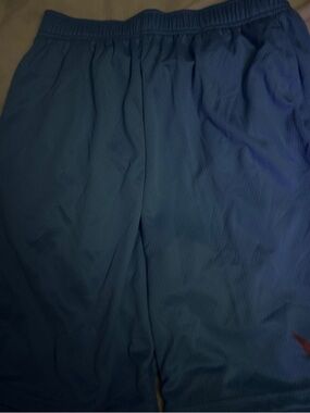 Nike Blue Dri-FIT Athletic Shorts